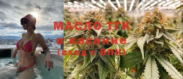 тгк Михайлов