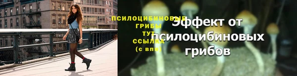 круглые Михайловск