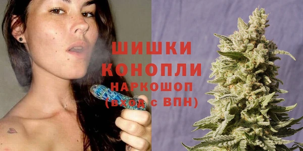 тгк Михайлов