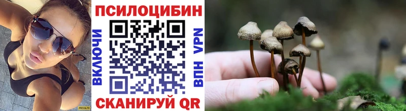 ссылка на мегу ссылка  Ижевск  Псилоцибиновые грибы MAGIC MUSHROOMS 
