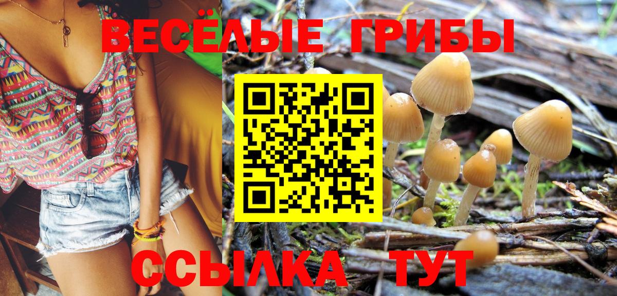 Псилоцибиновые грибы Cubensis  Псилоцибиновые грибы Psilocybine cubensis  Ижевск  Вход с VPN 