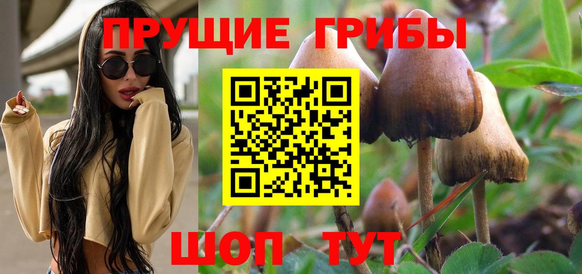 Галлюциногенные грибы прущие грибы  Ижевск 