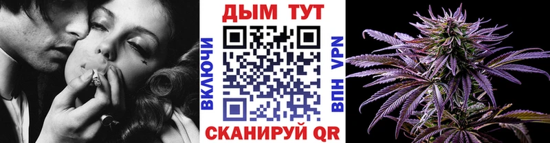 Каннабис сатива  Ижевск 